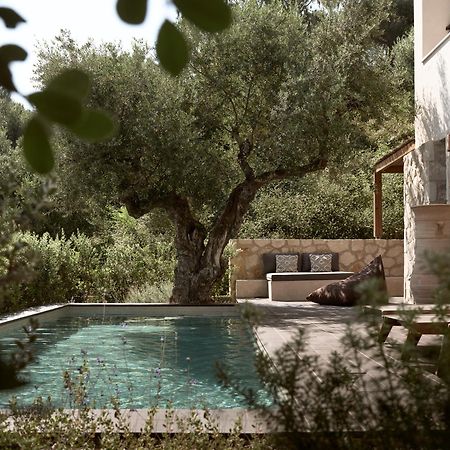 Zayn Luxury Villas, A Serene Escape, By Thinkvilla Tsilivi  Esterno foto
