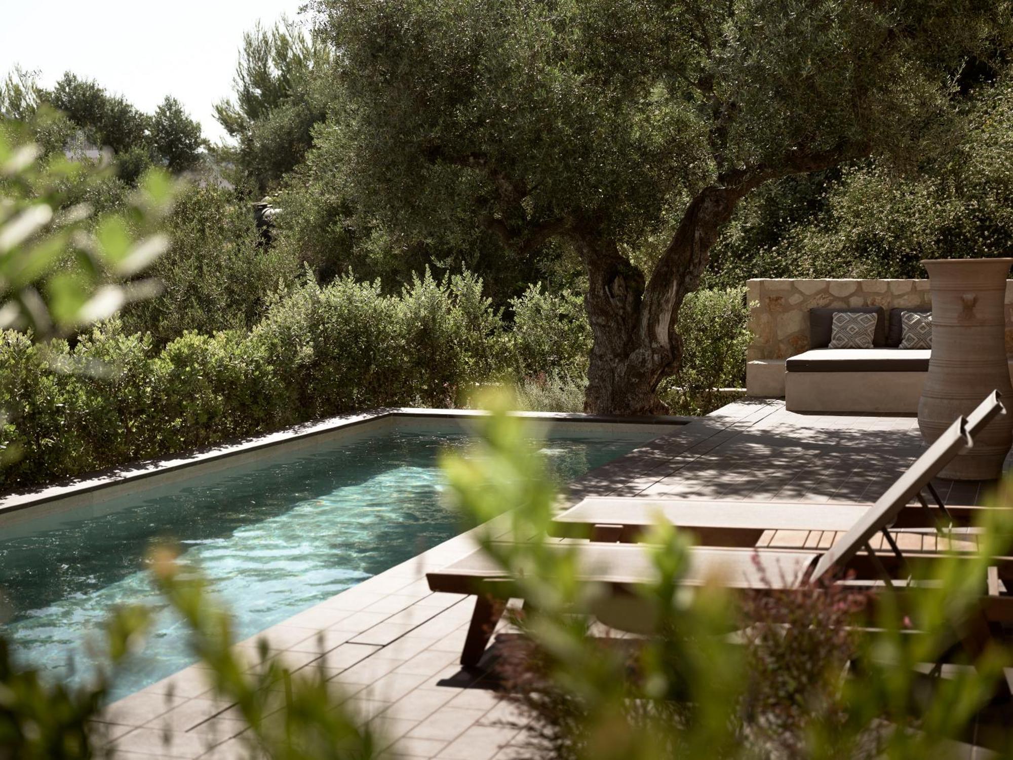 Zayn Luxury Villas, A Serene Escape, By Thinkvilla Tsilivi  Esterno foto